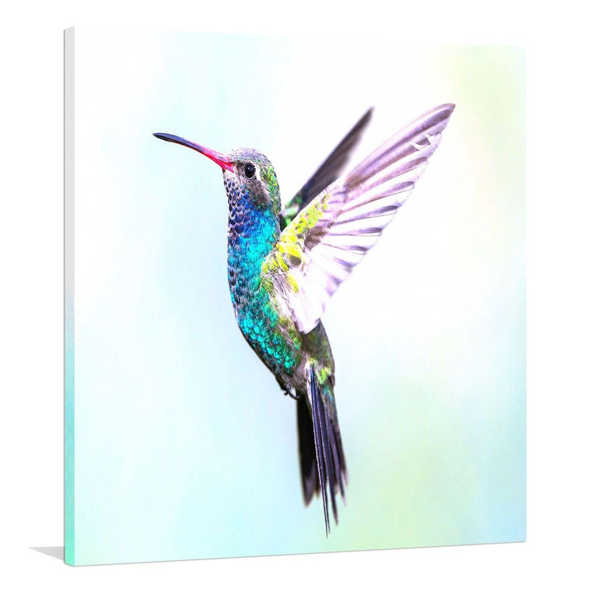 Hummingbird Canvas Print – Interiors Online