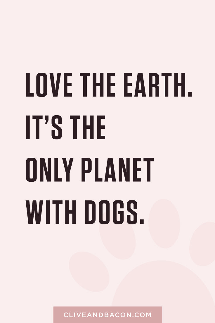 Love the earth. It's the only planet with dogs. By Tina Chen, Clive & Bacon