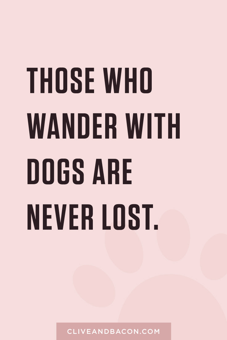 Those who wander with dogs are never lost. By Tina Chen, Clive and Bacon
