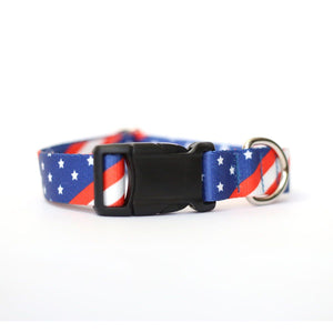 Hawaiian Pizza Dog Collar for Boy Cute Dog Collar Food 