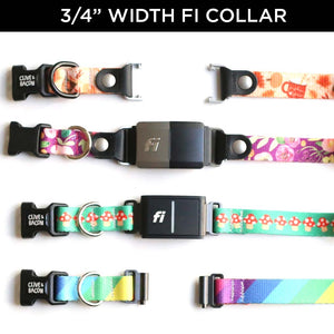 Cookies & Co.  Fi Compatible Seamless Custom Slip Dog Collar – The Cookies  & Co.