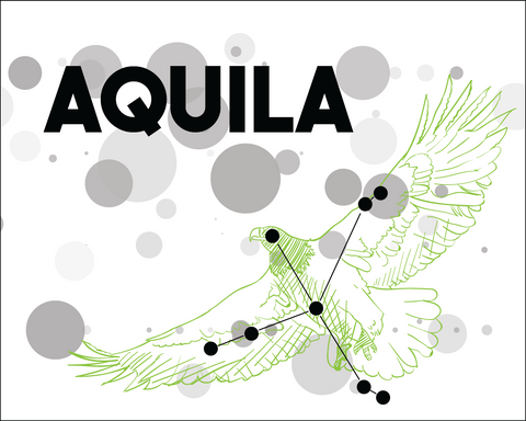 Aquila Constellation Card