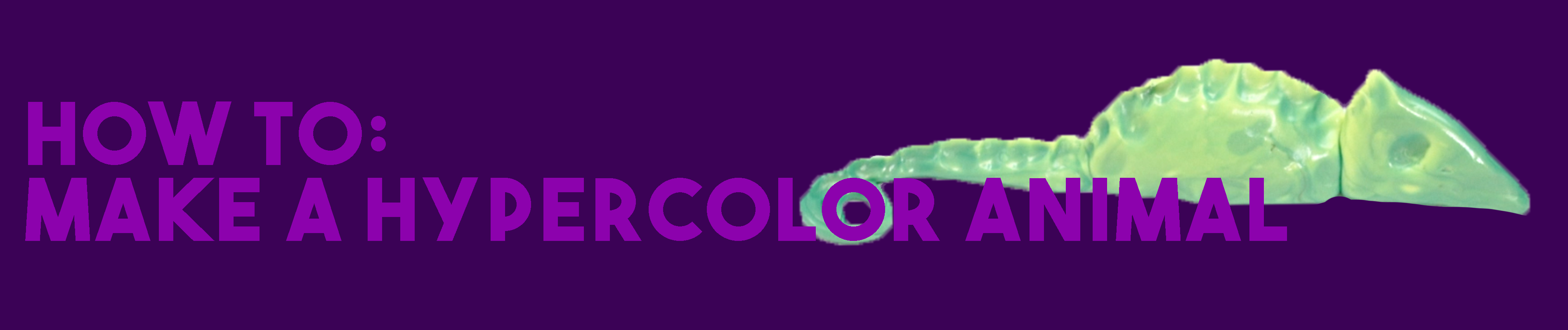 How To Create a Hypercolor Animal Banner