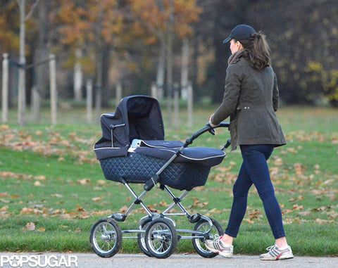 baby stroller family