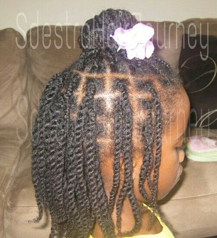 two strand twist bun