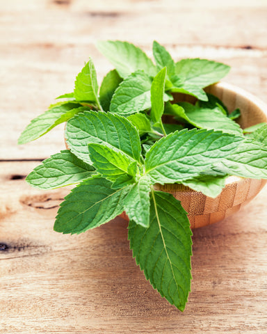 peppermint oil for hair growth