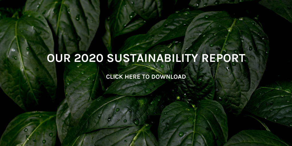 Sustainability Report Evolve Organic Beauty