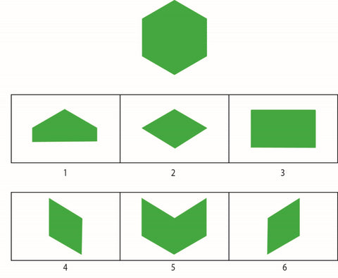 WISC-V Visual Puzzle