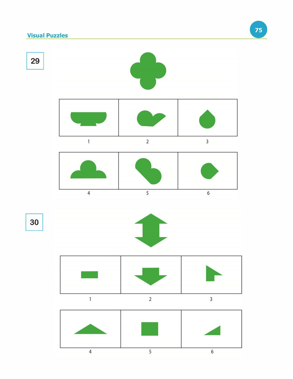 Wisc V Preparation Ebook The Test Tutor