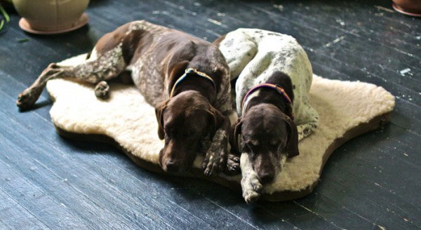 Skookum Dog Sheepskin Bed