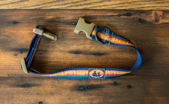 Skookum Dog Collar Nav Image 9