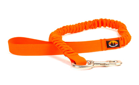 orange leashes