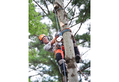 Arborist Equipment | Linemen's Supply