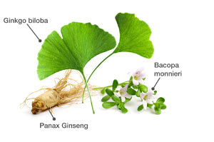 Ginkgo, bacopa, panax ginseng COGNI PLUS capsules