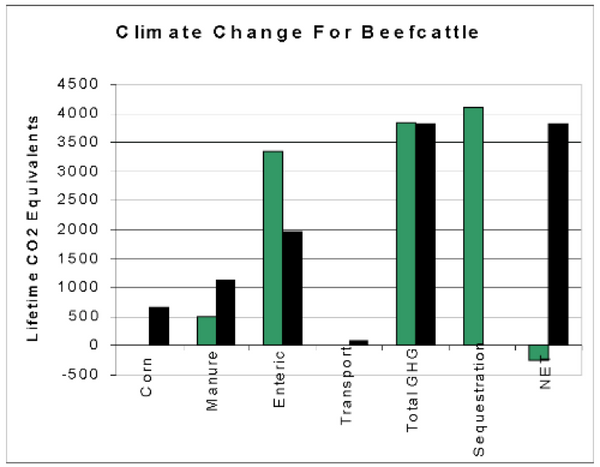 climate change beef 