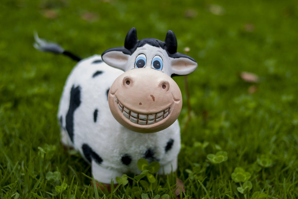 Grass Fed Cartoon Cow 