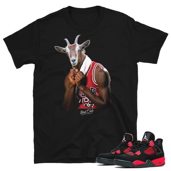 The best Air Jordan 4 matching shirts