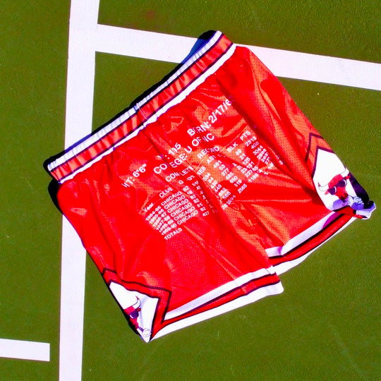 Jordan Inspired Basket Ball Practice Shorts