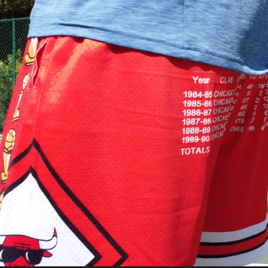 Custom Air Jordan Inspired Mesh Basketball Shorts