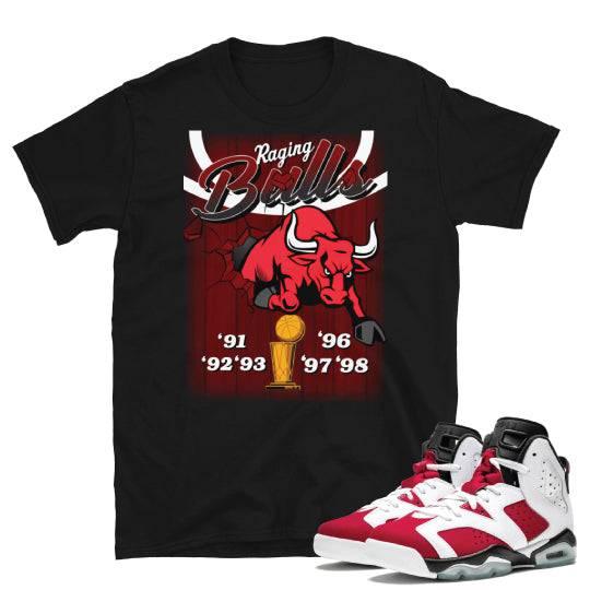 jordan 6 carmine shirts