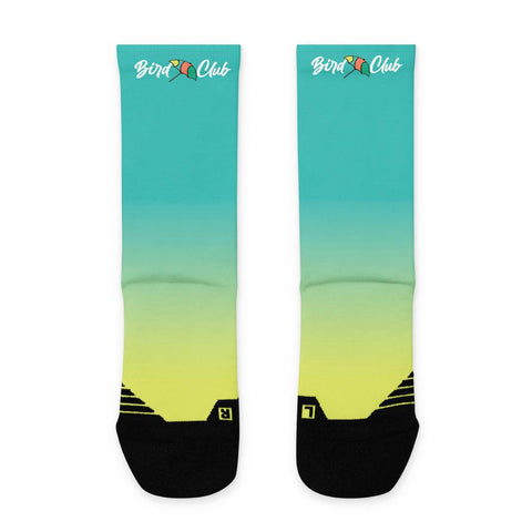 lebronald palmer socks