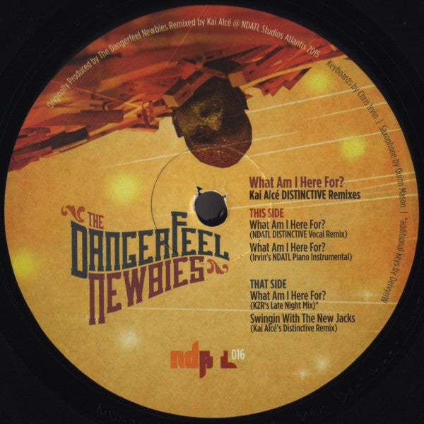 The Dangerfeel Newbies "What Am I Here For?" Kai Alcé NDATL DEEP HOUSE 12"