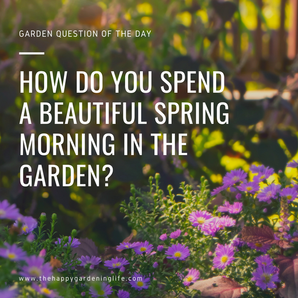 beautiful spring morning quotes