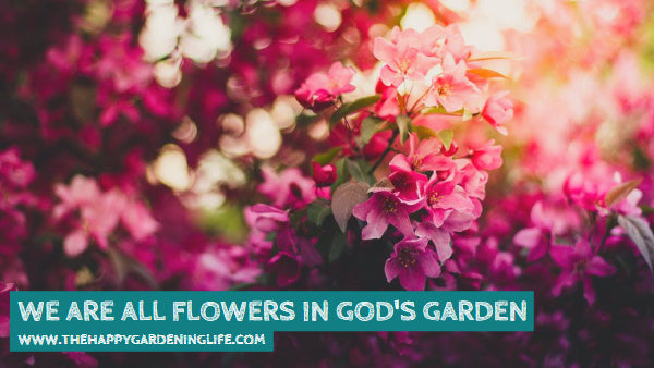 We Are All Flowers In God S Garden The Happy Gardening Life