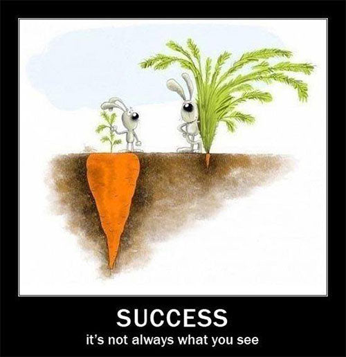 success-is-not-always-what-you-see