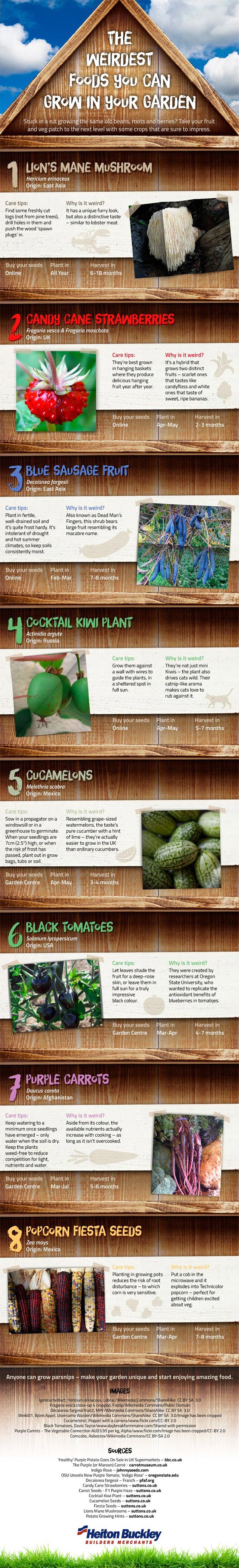 unusual-crops-to-grow