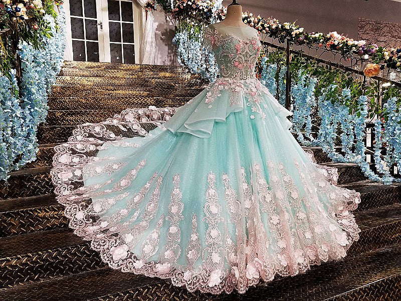 Princess Ball Gown Flower Appliques Prom Dress,Quinceanera Dresses ...