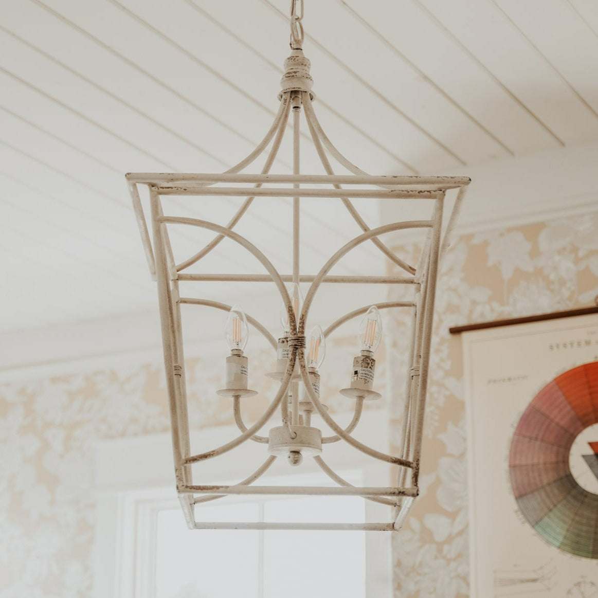 Virginia Chandelier - Smallwoods product image