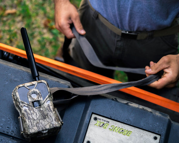 handsfree tailgate