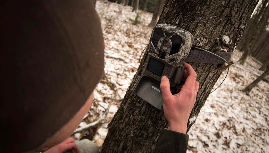 How Often Should I Check My Trail Cameras