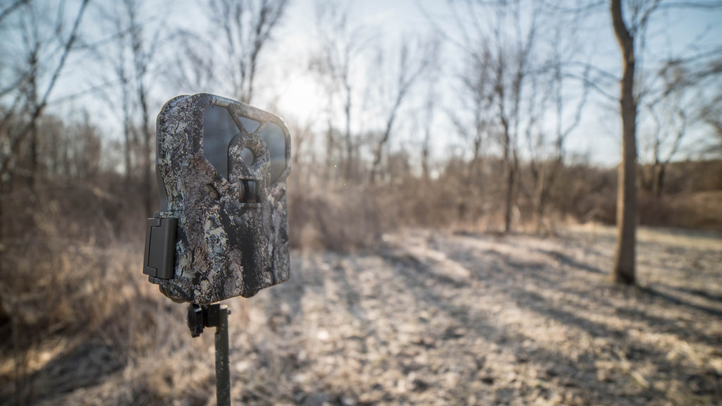 using a trail camera for home security