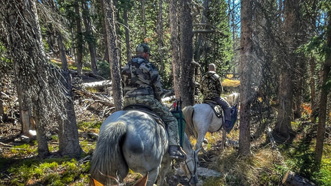 horse-trail-elk-basecamp