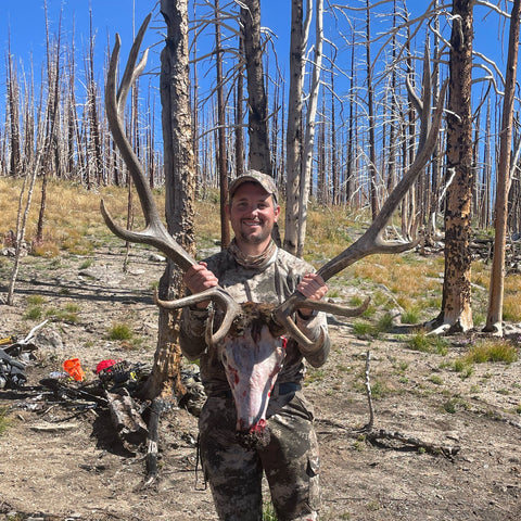 prepping-elk-skull-for-taxidermy