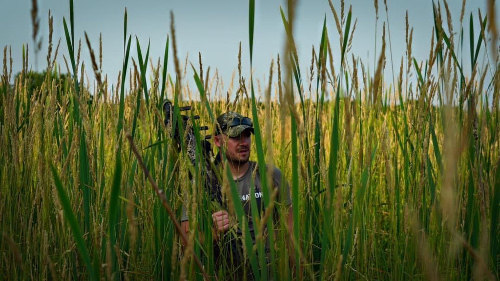 Understanding Whitetail Deer Bedding in Swamps and Marshes