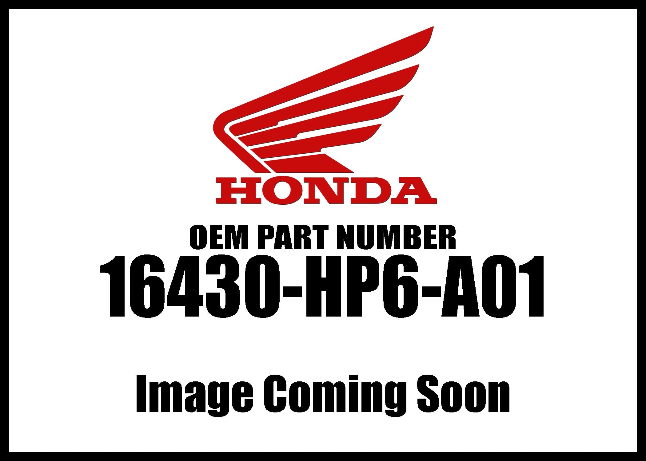 Honda 2008-2018 TRX Pioneer SXS Valve Set 16430-HP6-A01 New OEM