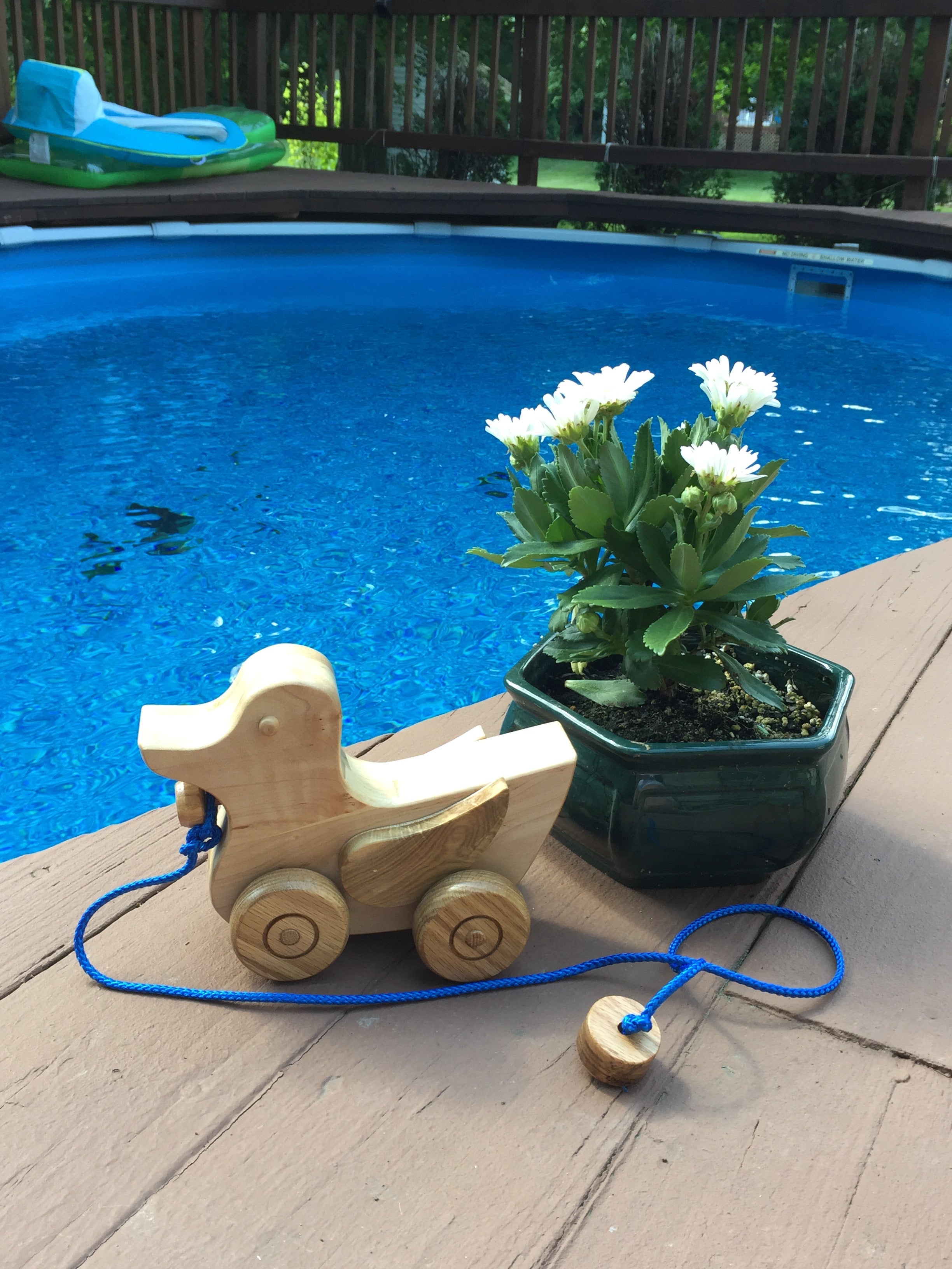 Alberto l'anatra // Tirare giocattoli // Alex the Duck Pull Toy - Pane Perso Woodcrafts