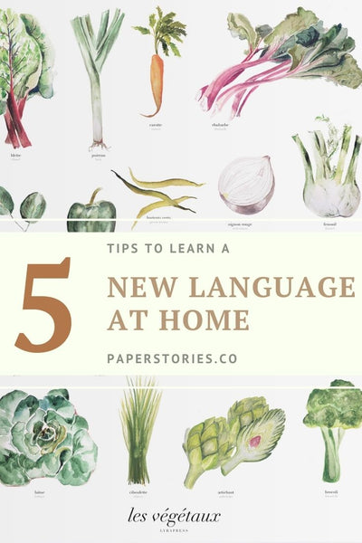 Five Ways to learn a language at home