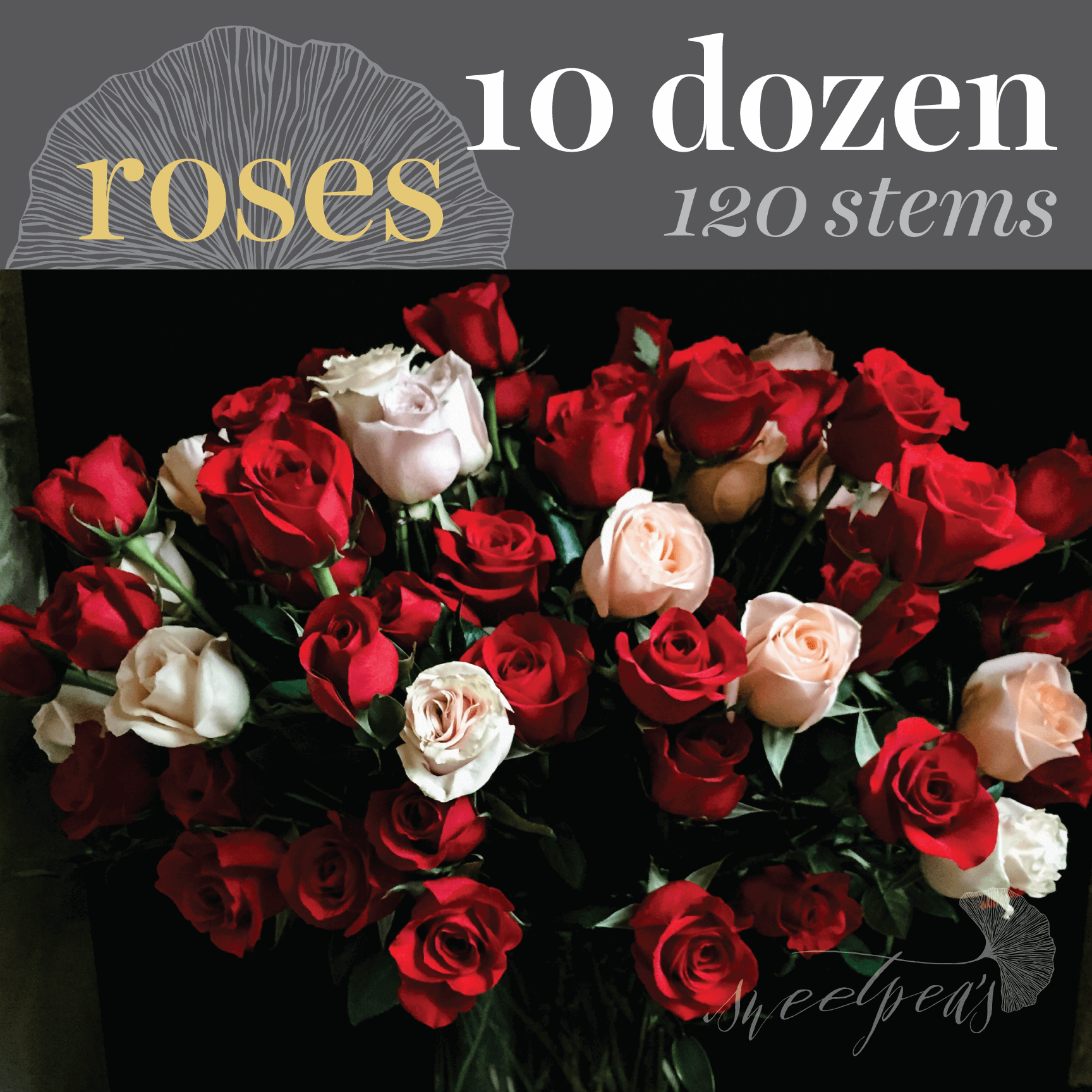 Toronto Flower Delivery - 10 Dozen (120 stems) Assorted Roses Bouquet |  Sweetpea's