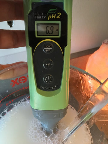 testing the pH of castile soap and vinegar