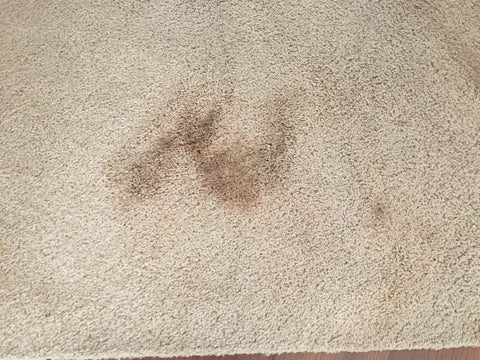 Red Wine Carpet Stain