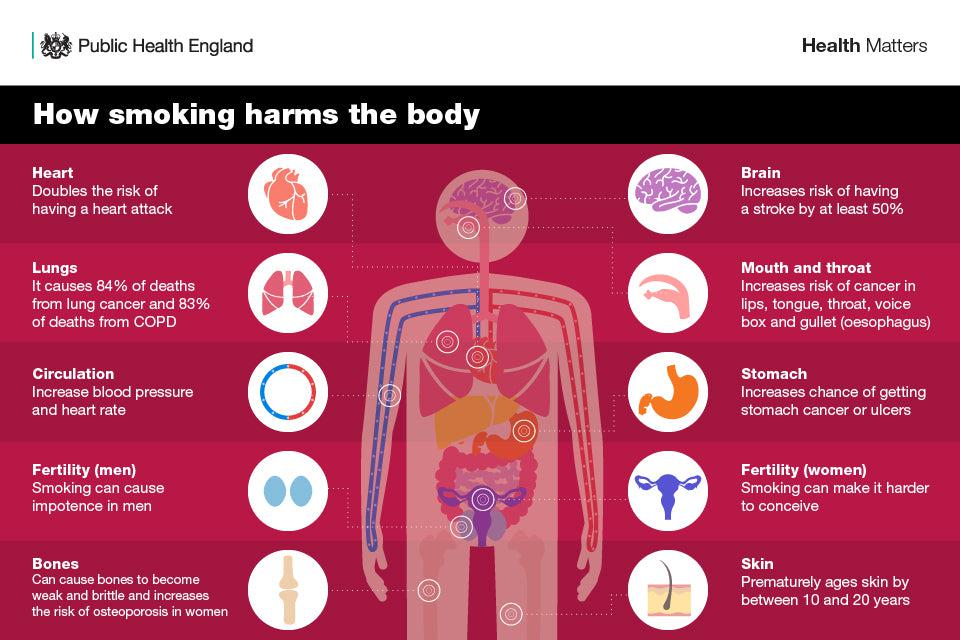 How Smoking Harms the Body