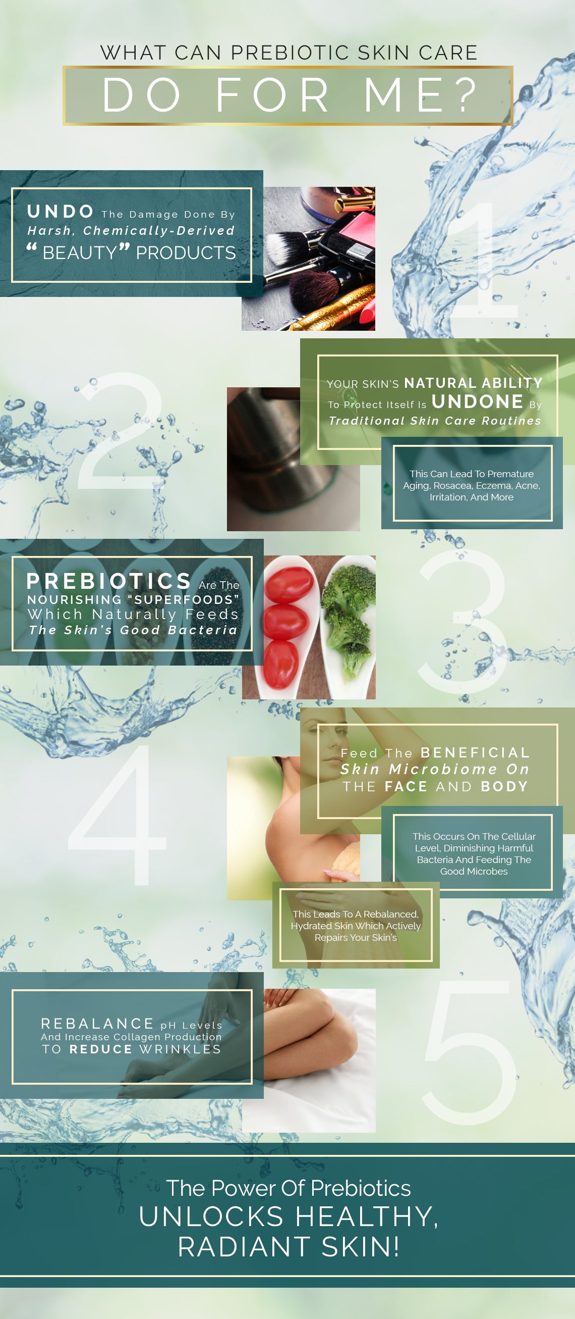 Prebiotic skincare infographic