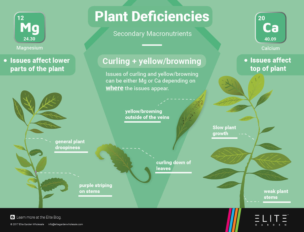 Plant Nutrient Deficiency Chart