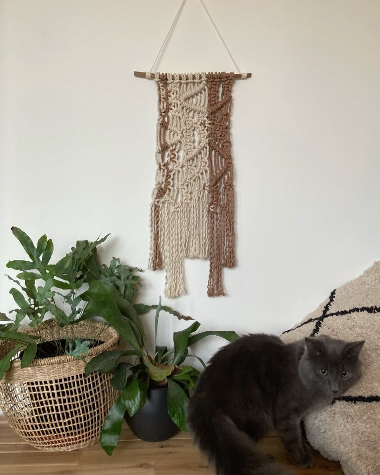 Louie the Cat next to a macramé wall hanging