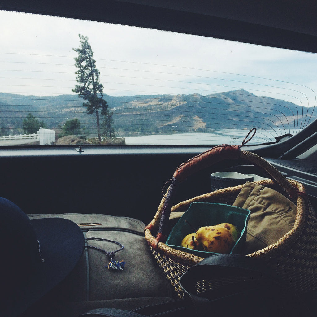 Emily's fruit pickings, on a road trip through Oregon