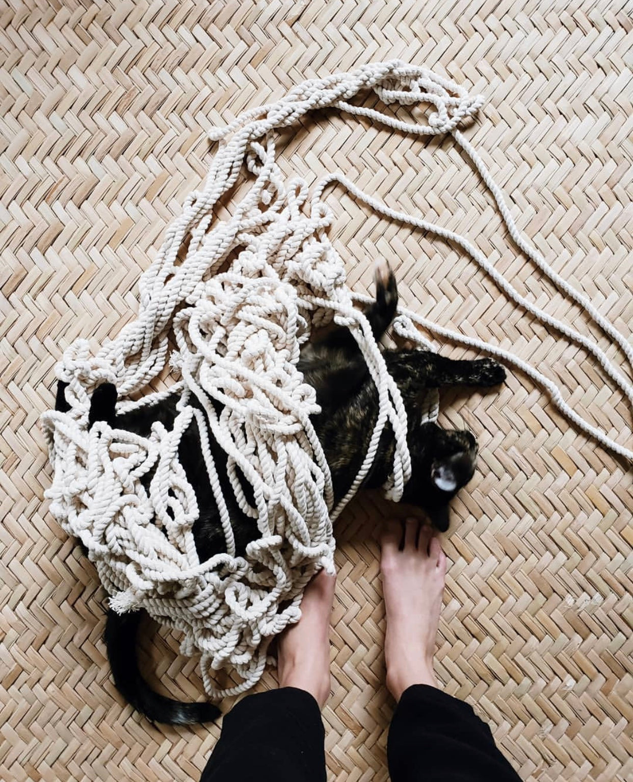 Black cat all tangled up in macramé rope